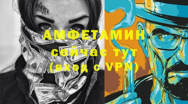 хмурый Алексин