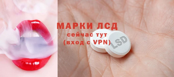 хмурый Алексин