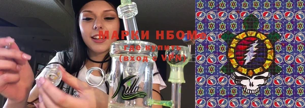 хмурый Алексин