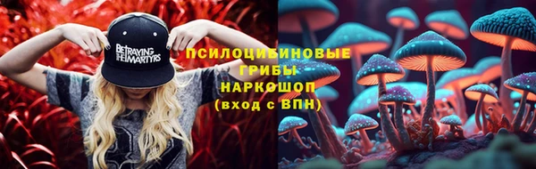 мяу мяу мука Алексеевка