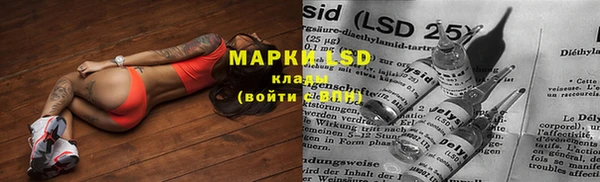мяу мяу мука Алексеевка